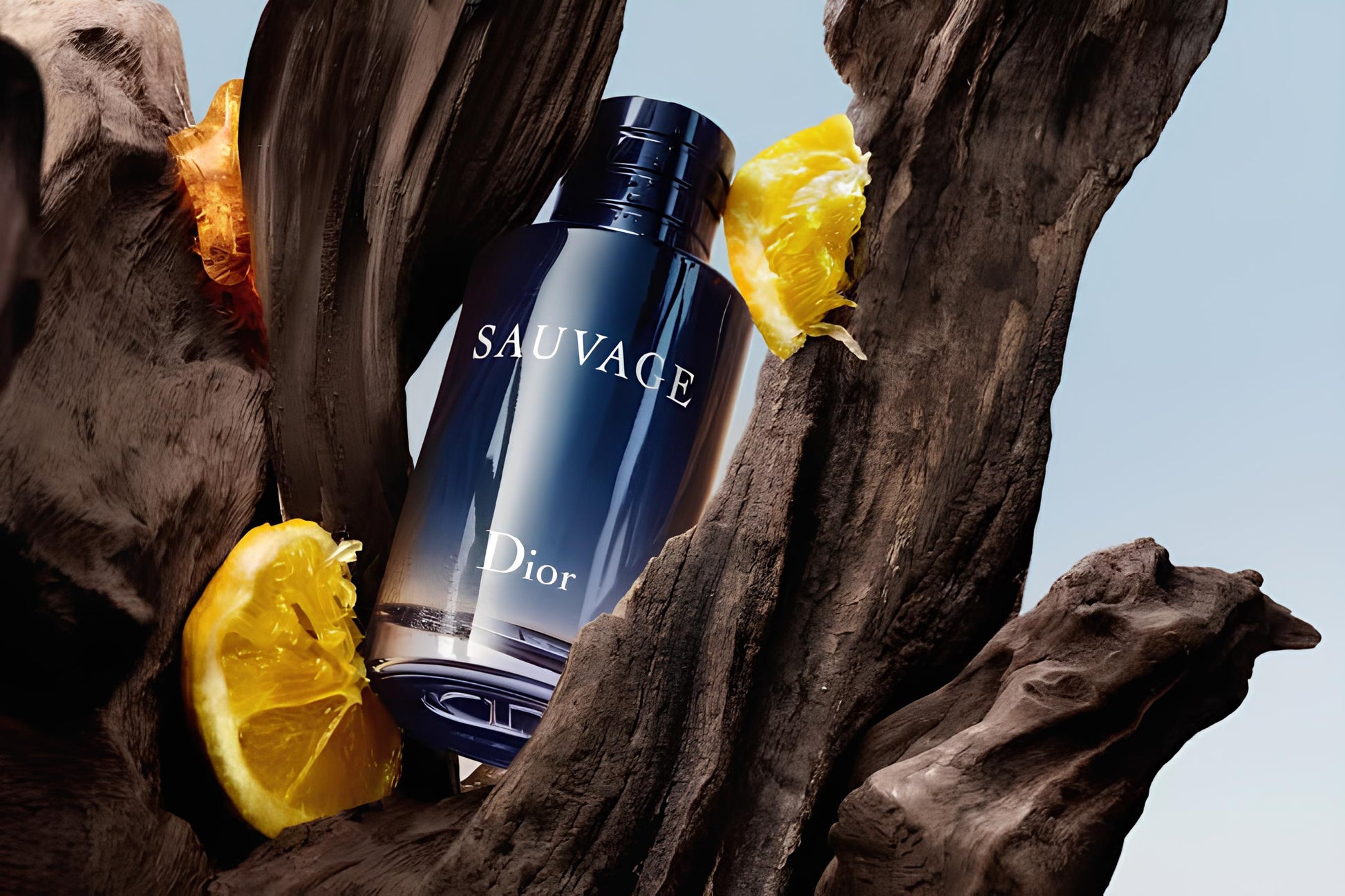 Sauvage 3.4 Oz 100 Ml Eau De Parfum Woody Fragrance for Men 25% off on this product and limited period.